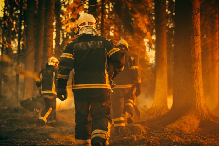 67 nuevas plazas de bombero en Sevilla