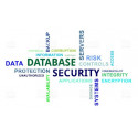 Curso Inglés sobre el manejo de Sistemas de la Información y Seguridad para Vigilantes de Seguridad