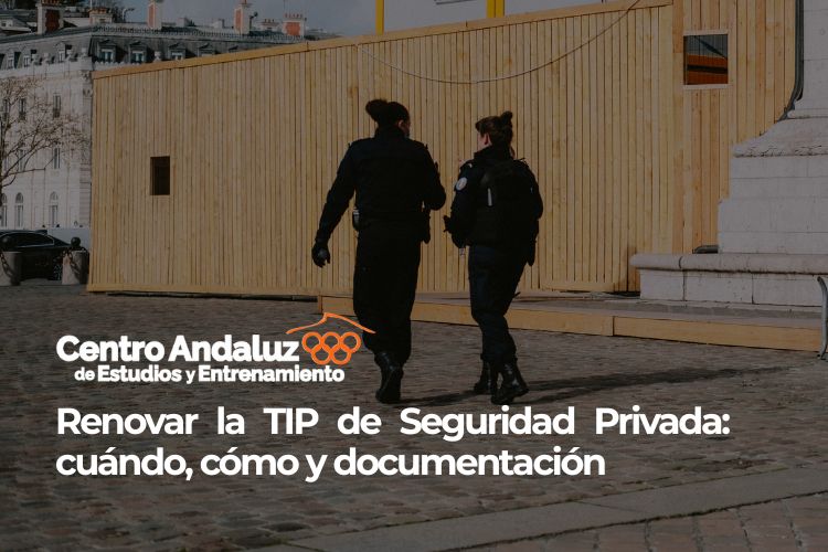 Renovar TIP Seguridad Privada
