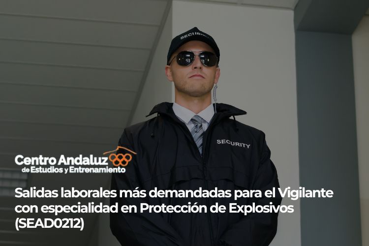 salidas vigilante protección explosivos