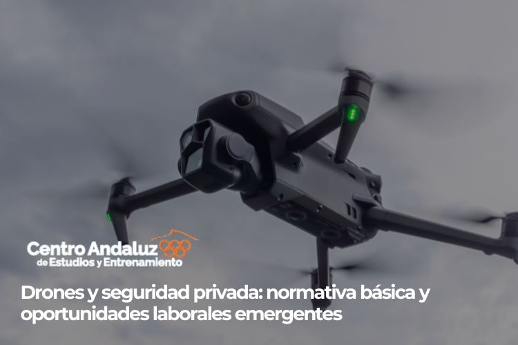 Drones y seguridad privada